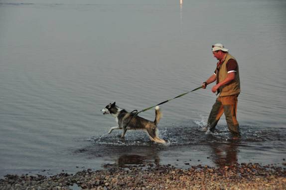 Passeando com o cachorro no Lake McDonald, maior lago do Glacier National Park, em Montana, nos Estados Unidos